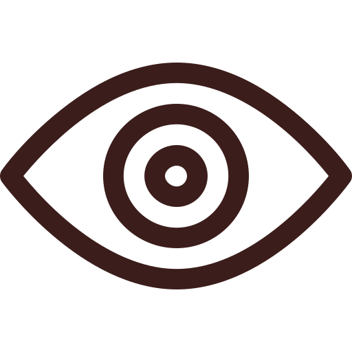 Vision icon